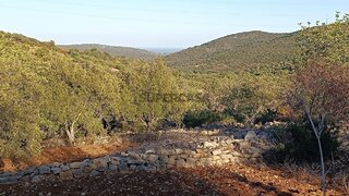 Terreno em Faro · 3280 m² · 21 500 €