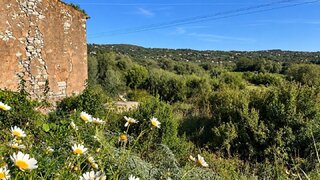 Terreno para venda em Loulé, Portugal — 175 000 €