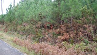 Land for sale in Monção, Portugal — €15,000