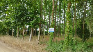 Land for sale in Oliveira do Bairro, Portugal — €13,500