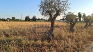 Land for sale in Palmela, Portugal — €129,000