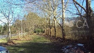 Terreno para venda em Vagos, Portugal — 31 500 €
