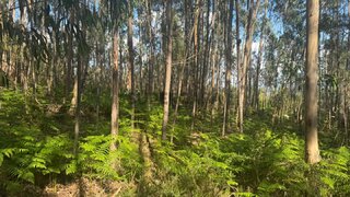 Land for sale in Vila Verde, Portugal — €55,000