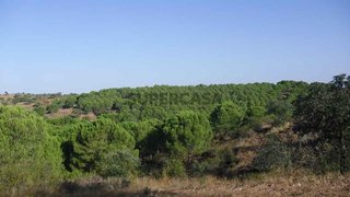 Terreno para venda em Serpa, Portugal — 105 000 €