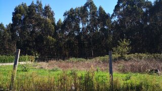 Land for sale in Vila Nova de Famalicão, Portugal — €74,150