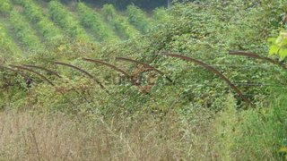 Land for sale in Monção, Portugal — €4,000