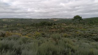 Terreno em Aguiar da Beira · 60 000 m² · 60 000 €