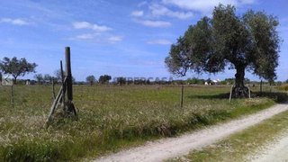 Land for sale in Alcácer do Sal, Portugal — €35,000