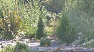 Land for sale in Alcobaça, Portugal — €25,990