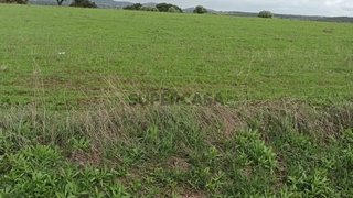 Terreno para venda em Arronches, Portugal — 20 000 €