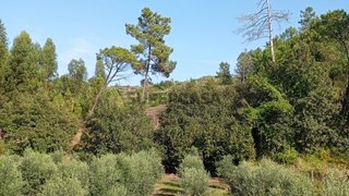 Land for sale in Mangualde, Portugal — €8,000