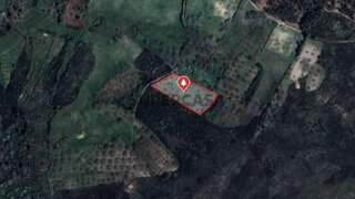 Terreno em Trancoso · 2704 m² · 4000 €