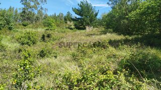 Land for sale in Cadaval, Portugal — €19,800
