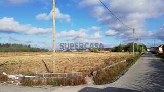 Terreno em Vagos · 3800 m² · 65 500 €