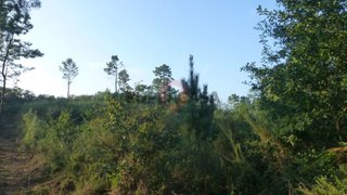 Land for sale in Monção, Portugal — €55,000