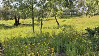 Terreno para venda em Penamacor, Portugal — 23 000 €