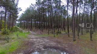 Terreno · 1490 m² · 16 000 €