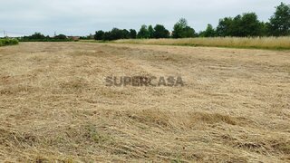 Land for sale in Oliveira do Bairro, Portugal — €25,000