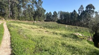 Land for sale in Viseu, Portugal — €65,000