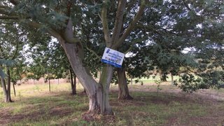 Terreno para venda em Anadia, Portugal — 37 000 €