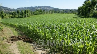 Terreno para venda em Guimarães, Portugal — 50 000 €