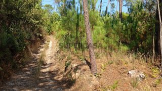 Terreno para venda em Mangualde, Portugal — 8000 €