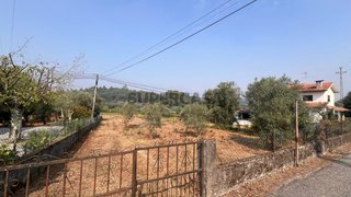 Land for sale in Tondela, Portugal — €24,000
