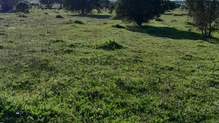 Terreno para venda em Alandroal, Portugal — 30 000 €