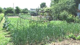 Terreno em Viseu · 1000 m² · 107 000 €