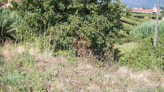 Land for sale in Melgaço, Portugal — €15,000