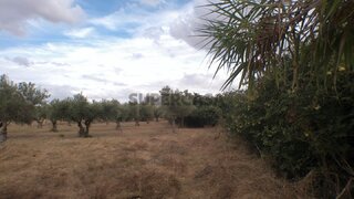 Terreno · 13 000 €