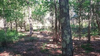 Terreno para venda em Ponte de Lima, Portugal — 27 000 €