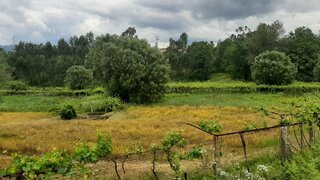 Land for sale in Ponte de Lima, Portugal — €330,000