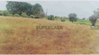 Land for sale in Montemor-o-Velho, Portugal — €8,715