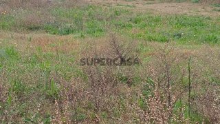 Land for sale in Ponte de Lima, Portugal — €100,000