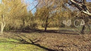 Land for sale in Vagos, Portugal — €30,000