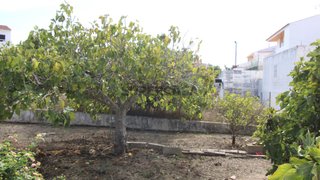 Land for sale in Faro, Portugal — €250,000