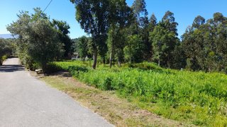 Terreno para venda em Vila Nova de Poiares, Portugal — 80 000 €