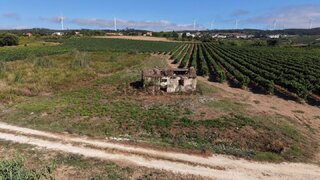Land for sale in Torres Vedras, Portugal — €60,000