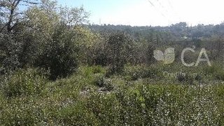 Terreno para venda em Tomar, Portugal — 20 000 €