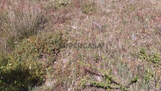 Terreno para venda em Viana do Castelo, Portugal — 300 000 €