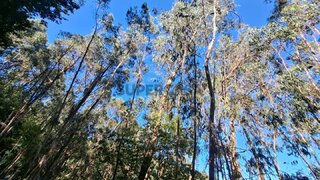 Land · 1,140 m² · €2,850