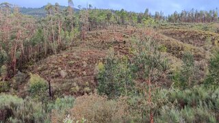 Land for sale in Mação, Portugal — €3,650