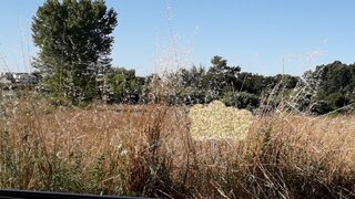 Terreno em Aveiro · 3120 m² · 100 000 €