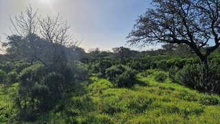 Land for sale in Grândola, Portugal — €145,000
