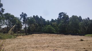 Terreno · 700 €