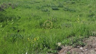 Land for sale in Mangualde, Portugal — €30,000