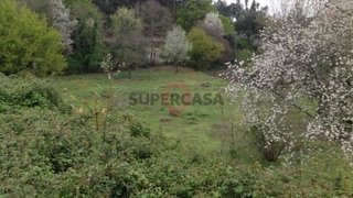 Terreno de 13 500 m² em Braga