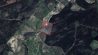 Terreno em Trancoso · 9982 m² · 15 000 €