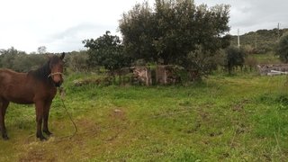 Terreno para venda em Elvas, Portugal — 120 000 €